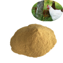 China Lieferant Hefe Pulver 50% / 60% Feed Grade